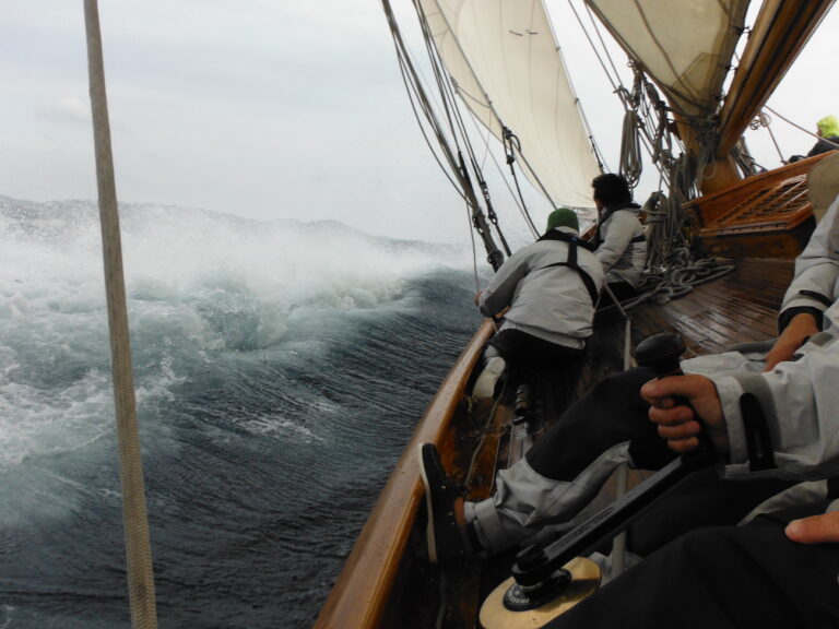 During Regatta
