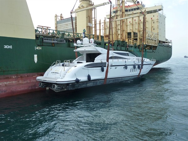 First Leopard In Hong Kong