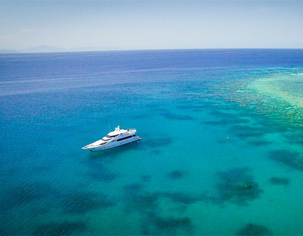 Flying Fish At Anchor