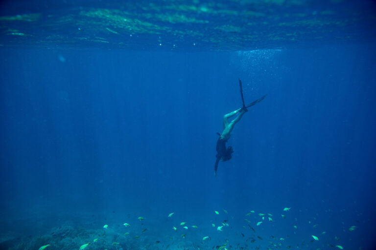 Free Diving In Indonesia