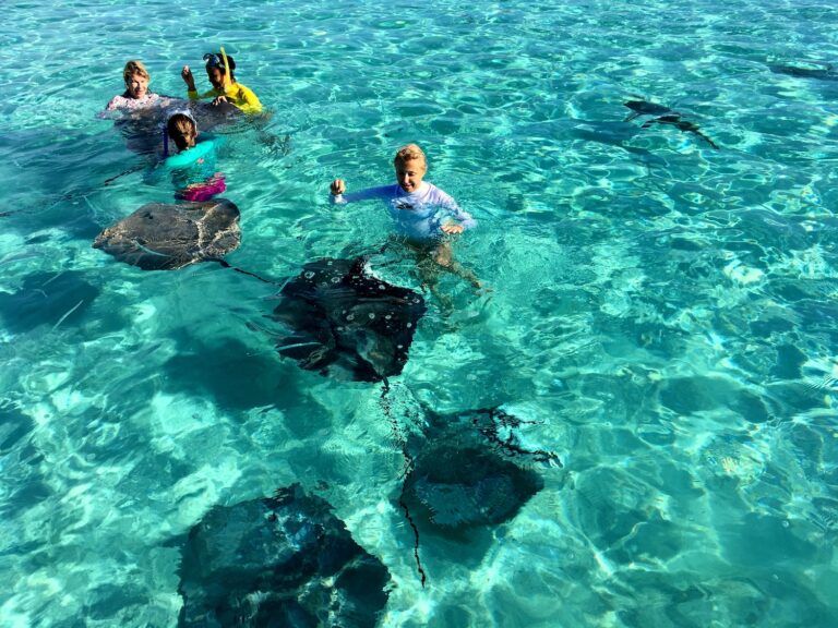 Fun Activities Furing Your Vacation