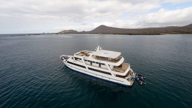 Galapagos Sea Star Journey