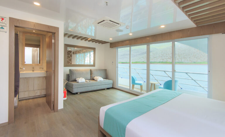 Golden Suite With Large Glazed Doors
