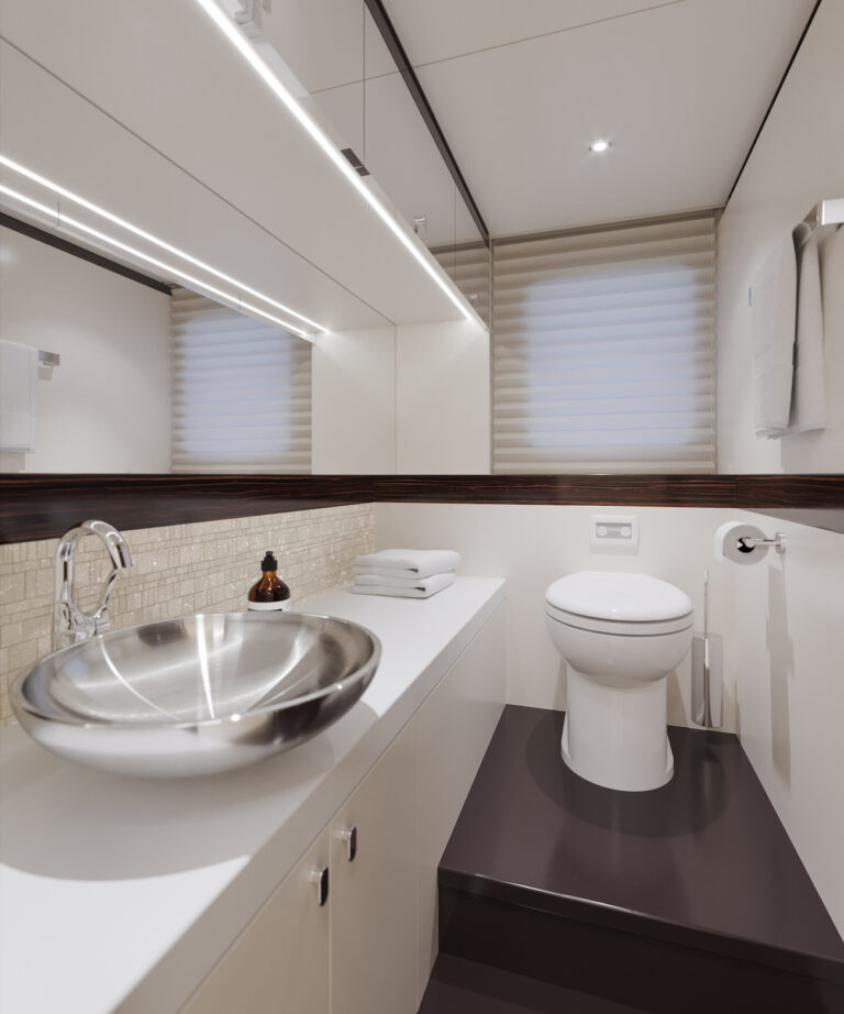Guest Bathroom - Toilet