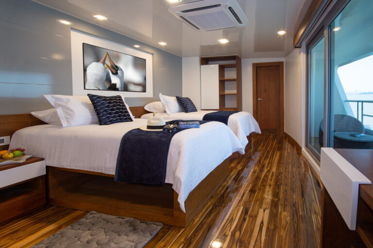 Guest Cabin - Twin