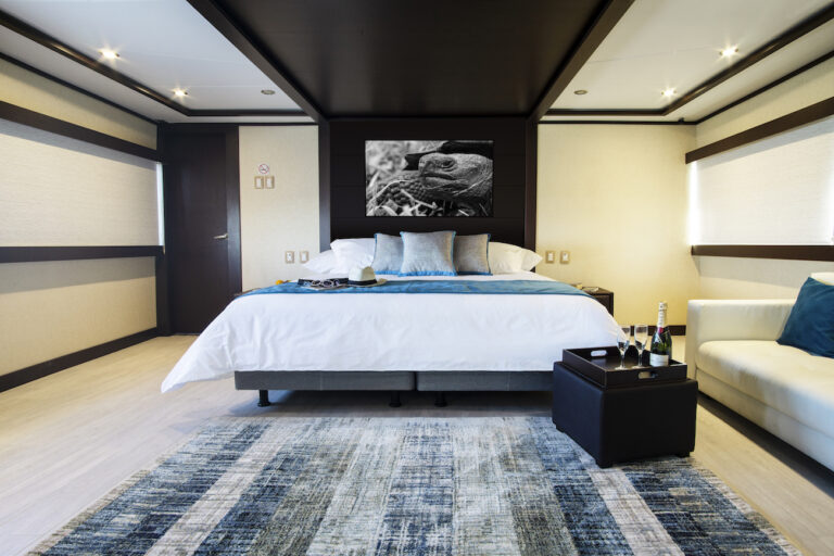 Guest Master Suite
