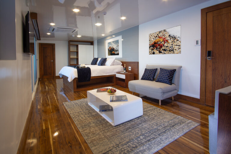 Guest Suite  With Seating Area