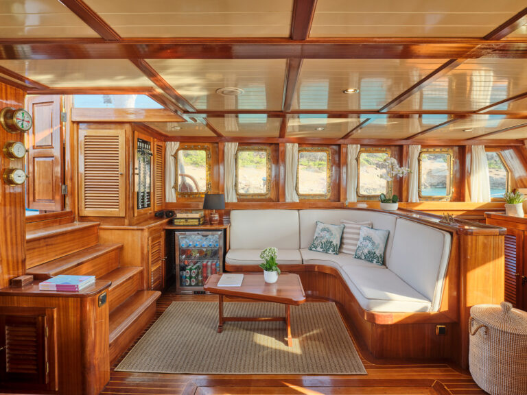 Interior - Saloon