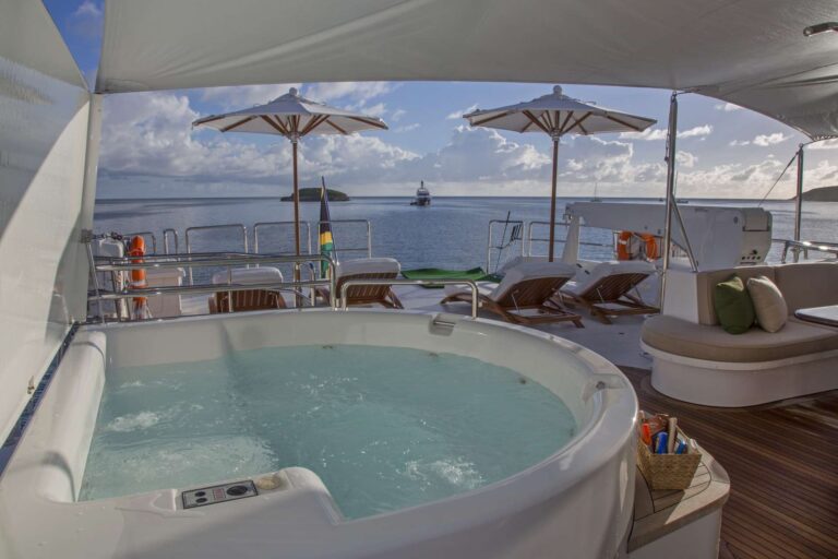 Jacuzzi And Sunbathing Area
