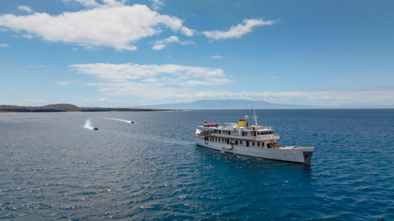 Motor Yacht GRACE
