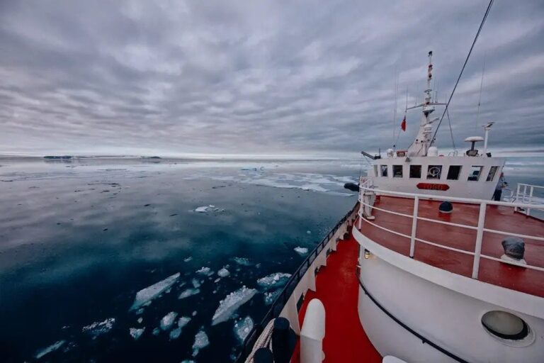 On A Charter Expedition Yacht