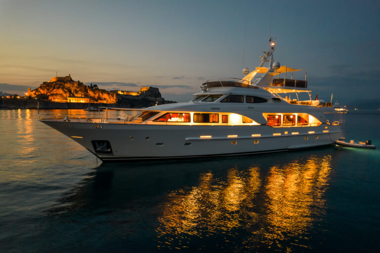 Profile Of Endless Summer By Night