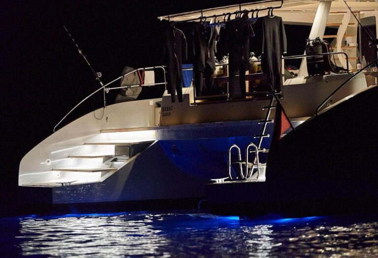 Stern At Night