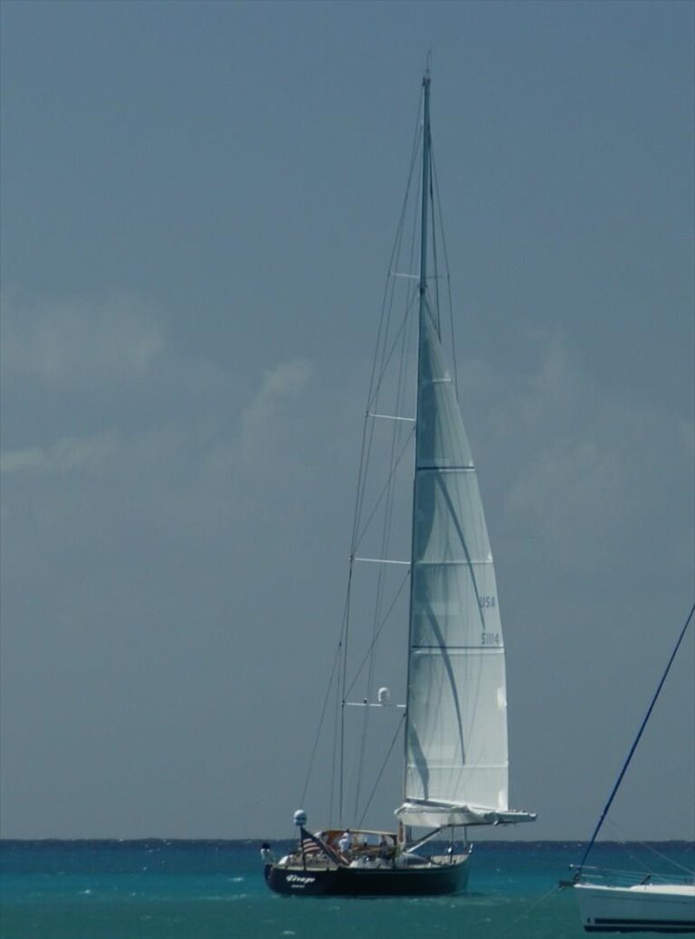 Saling Virago