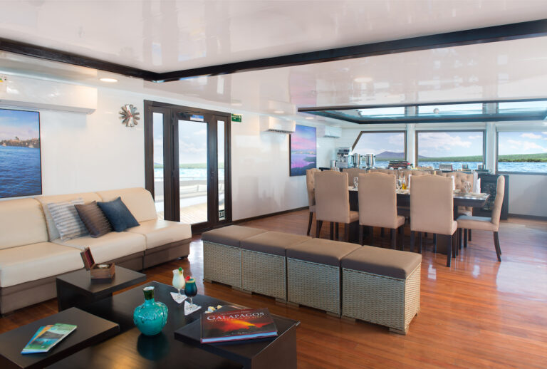 Social Area