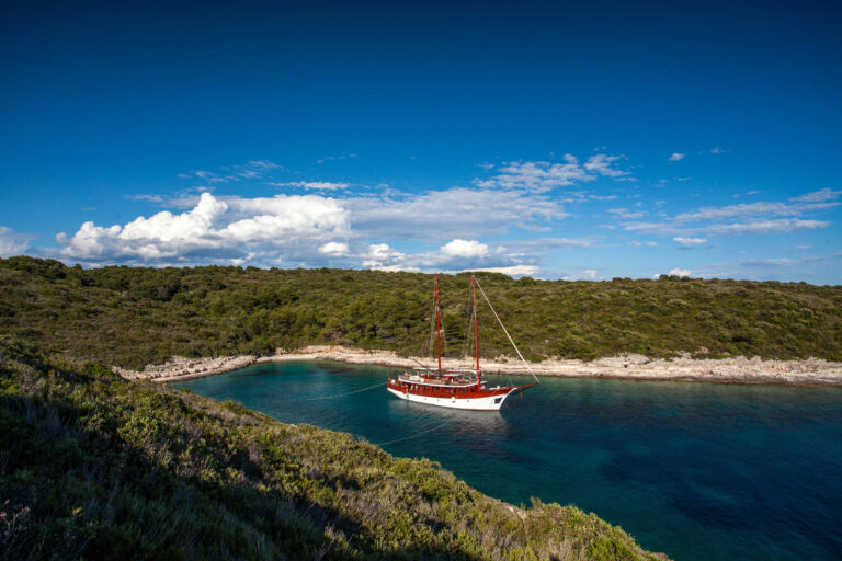Stern To