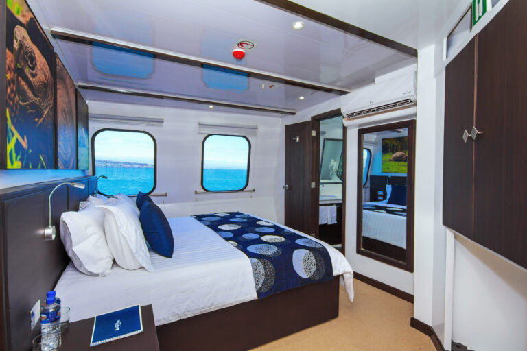 Suite One