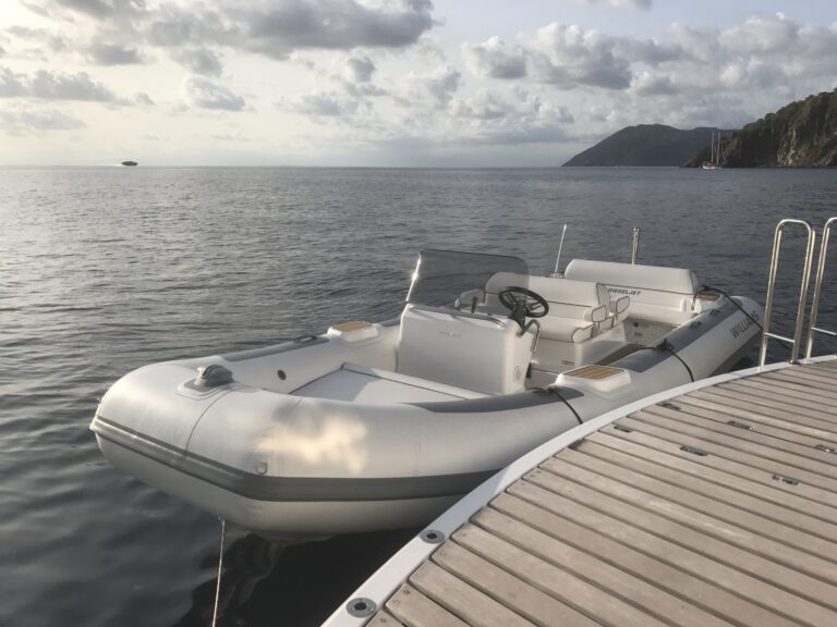 Swim Platform And Tender