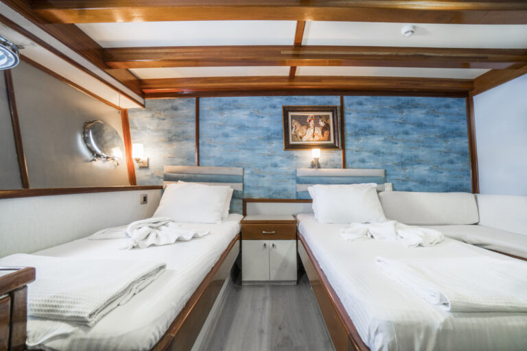 Twin Guest Accommodation