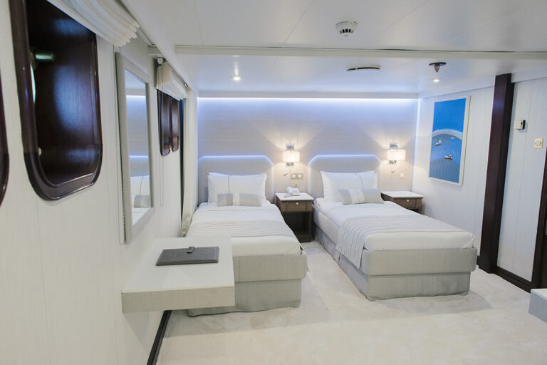Twin Guest Suite