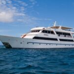 SEA STAR JOURNEY