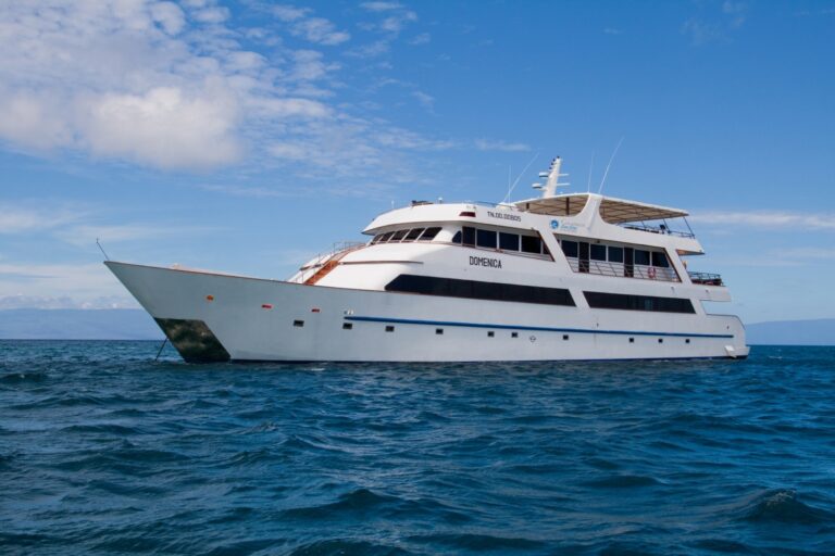 SEA STAR JOURNEY