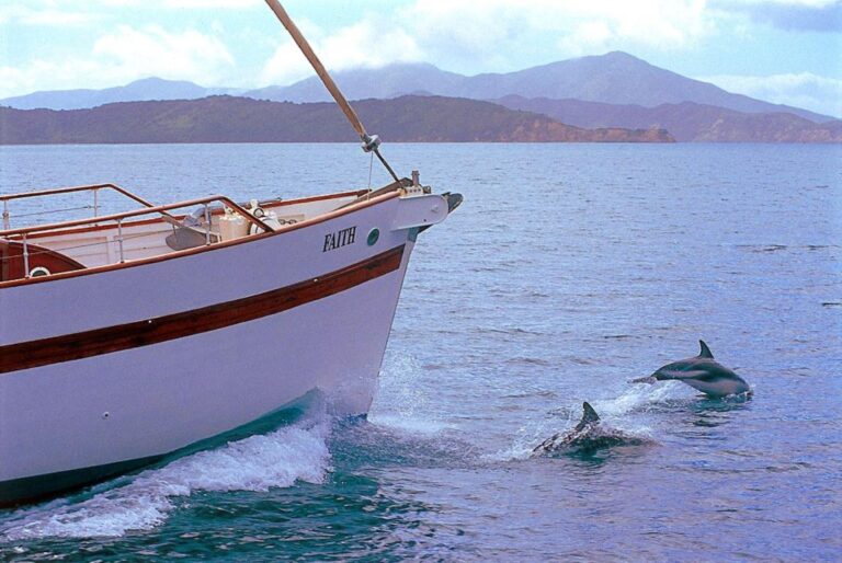 Yacht Faith