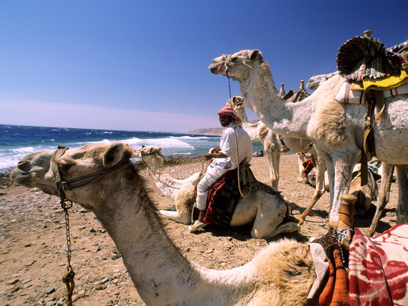 Egypt - Image credit to Egypt Tourism Board