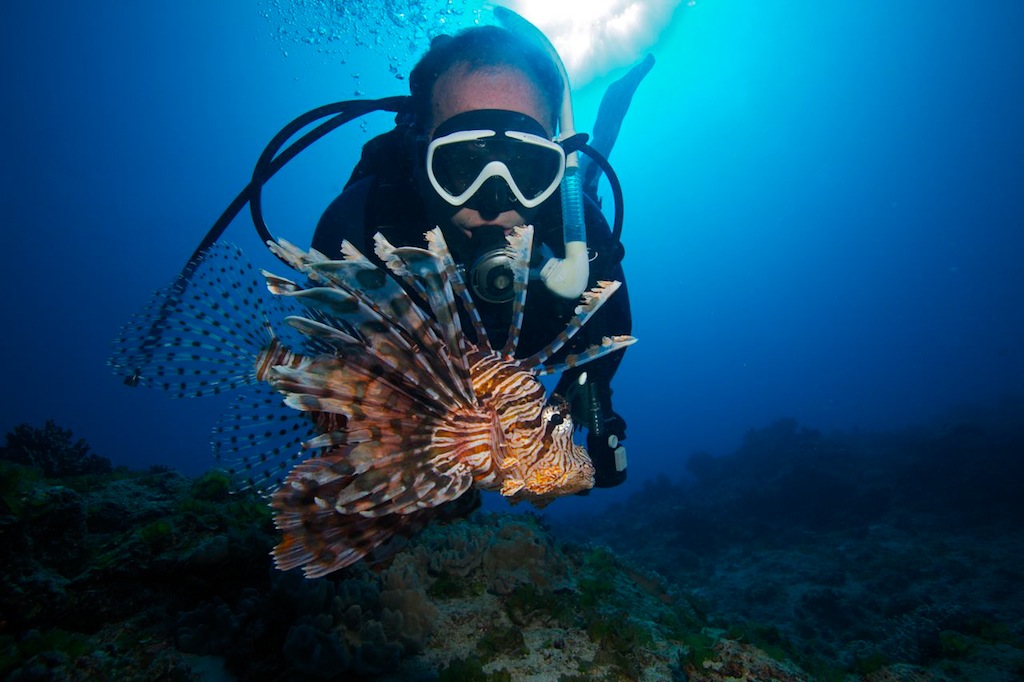 Tonga Haapai diving