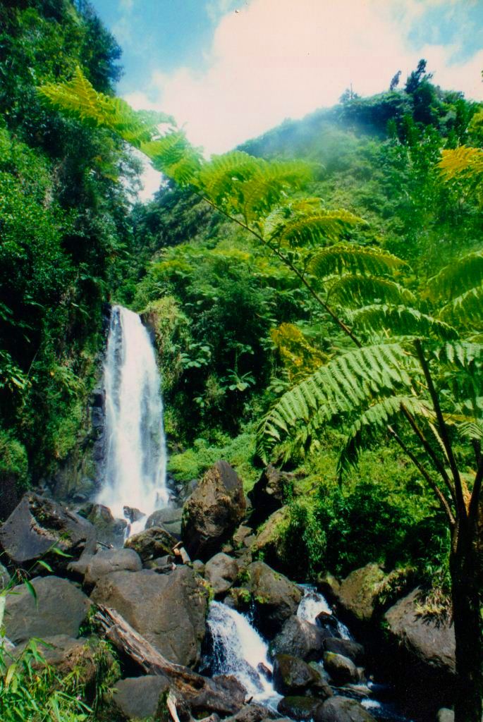 Trafalgar Falls in Dominica - Photo by Michael Habla