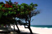 south central america yacht charter