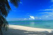 south pacific yacht charter