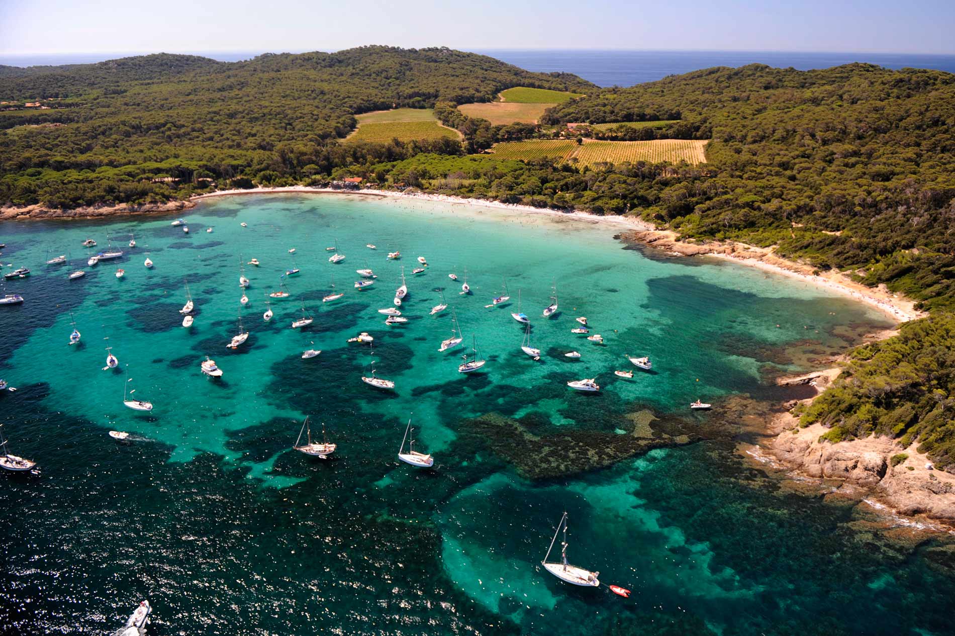 Iles D'hyeres