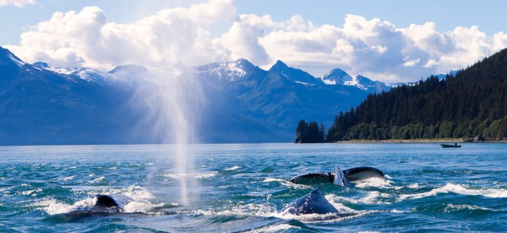 Sunshine Coast & Jervis Inlet