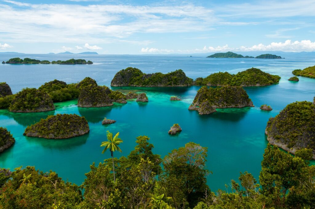 Papua New Guinea