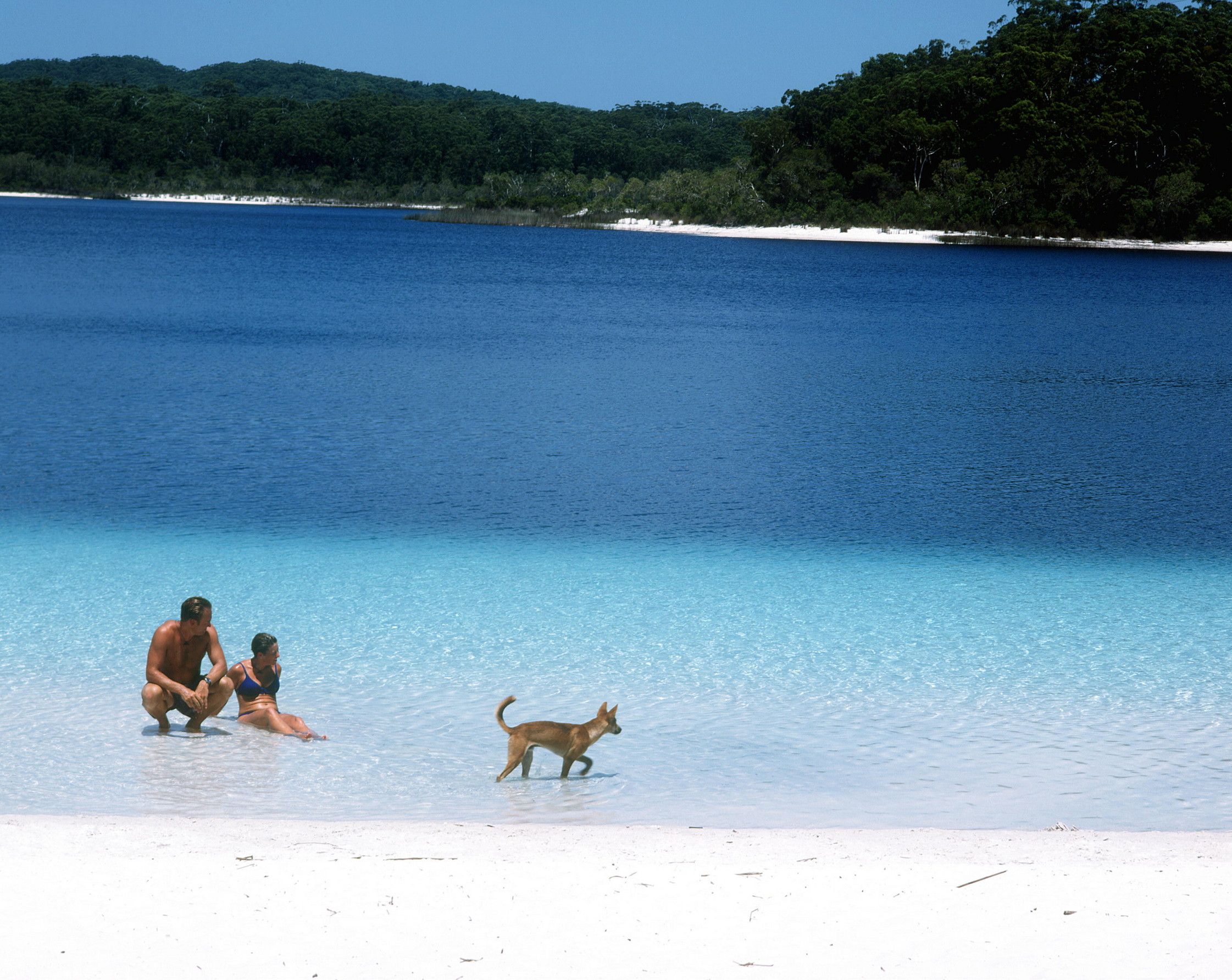 Fraser Island