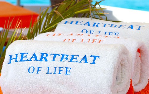 [28m-Yacht-HEARTBEAT-OF-LIFE]-1579-173.jpg