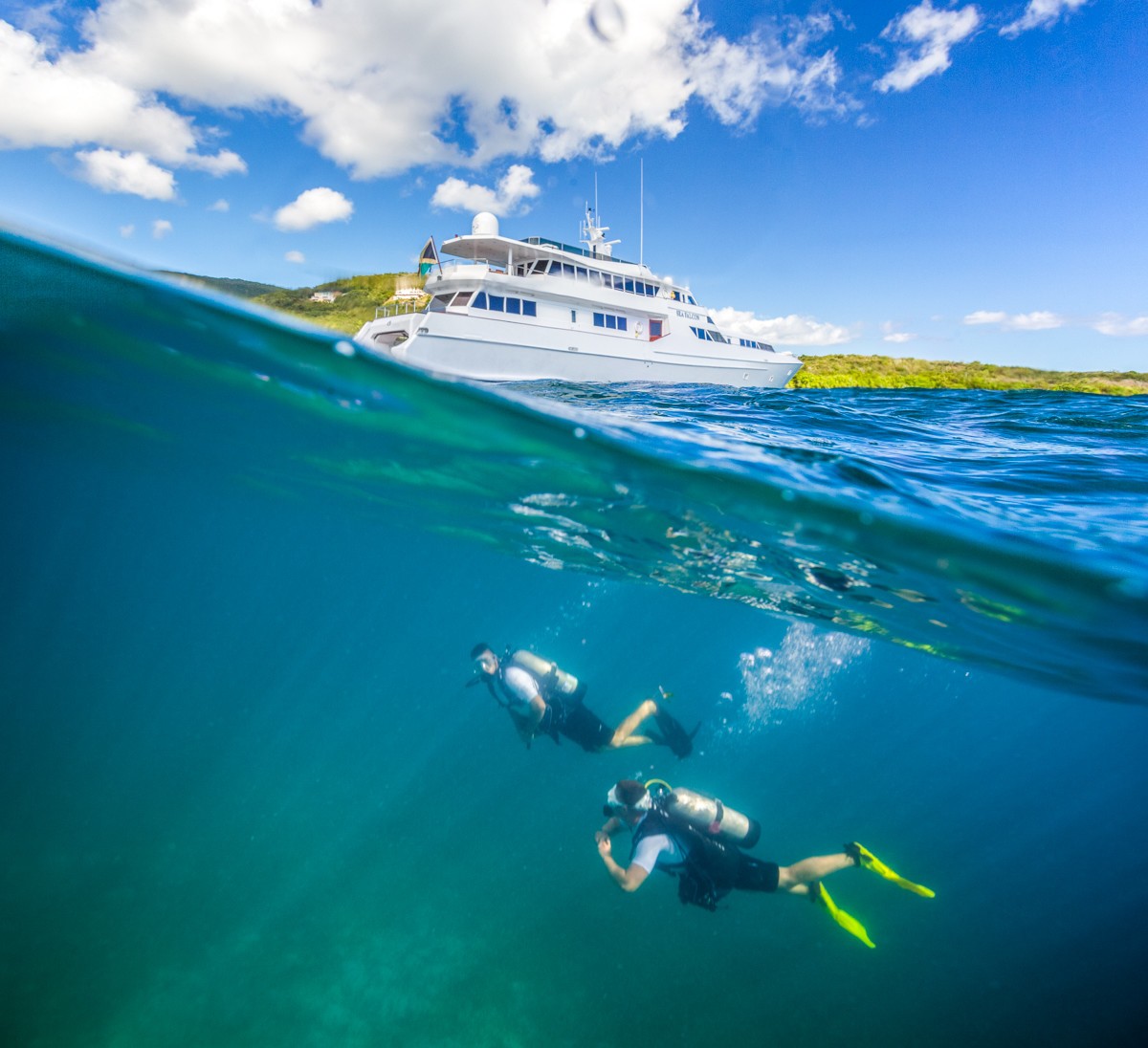 [43m-Yacht-SEA-FALCON]-10183-89.jpg