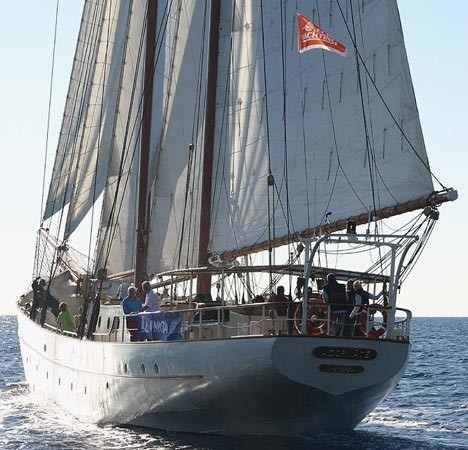 [44m-Yacht-ADORNATE]-11617-111.jpg