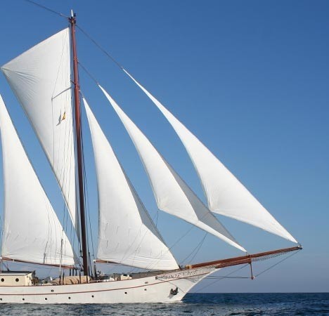 [44m-Yacht-ADORNATE]-11617-69.jpg