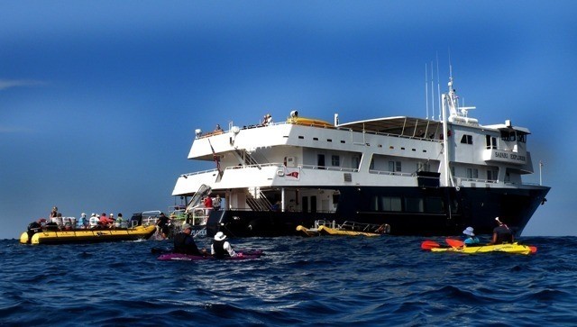 [44m-Yacht-SAFARI-EXPLORER]-1505-121.jpg