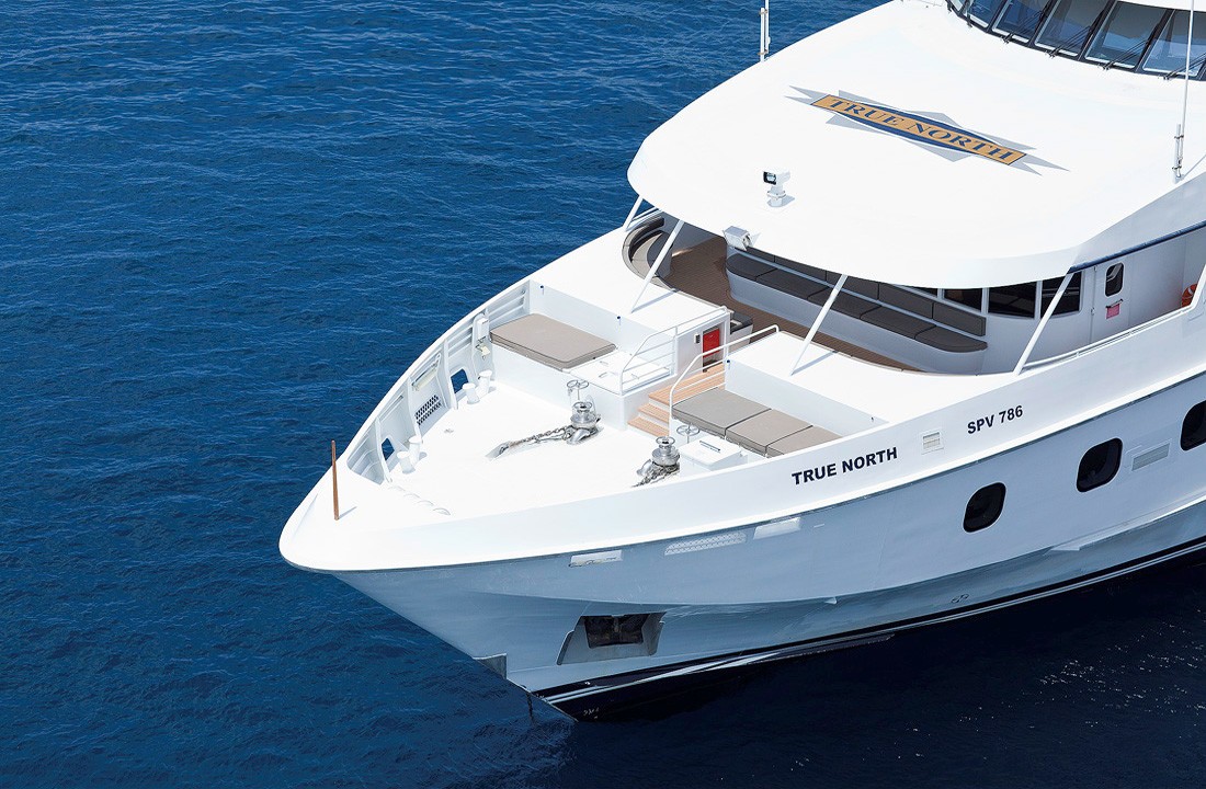 [49m-Yacht-TRUE-NORTH]-1811-176.jpg