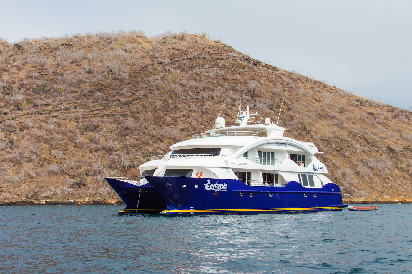 [ENDEMIC-CATAMARAN]-12851-4.jpg