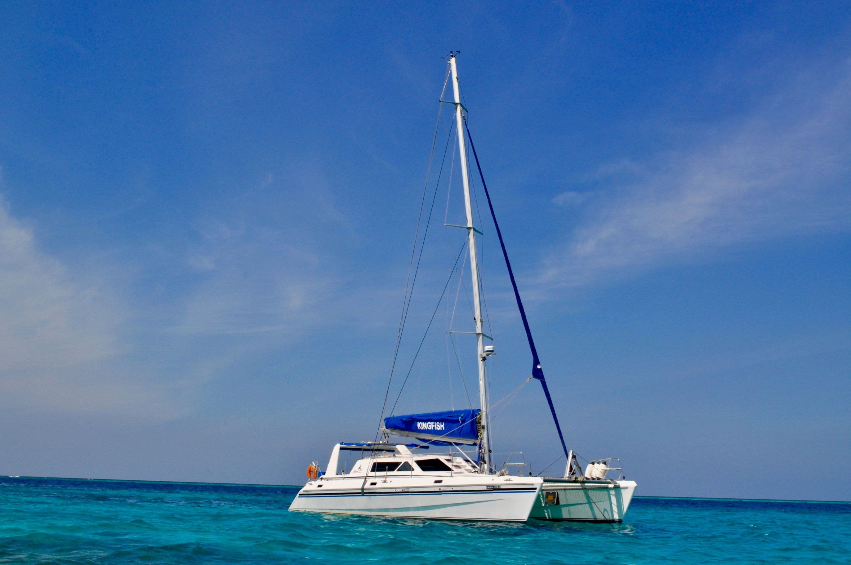[KINGFISH]-12508-1.jpg