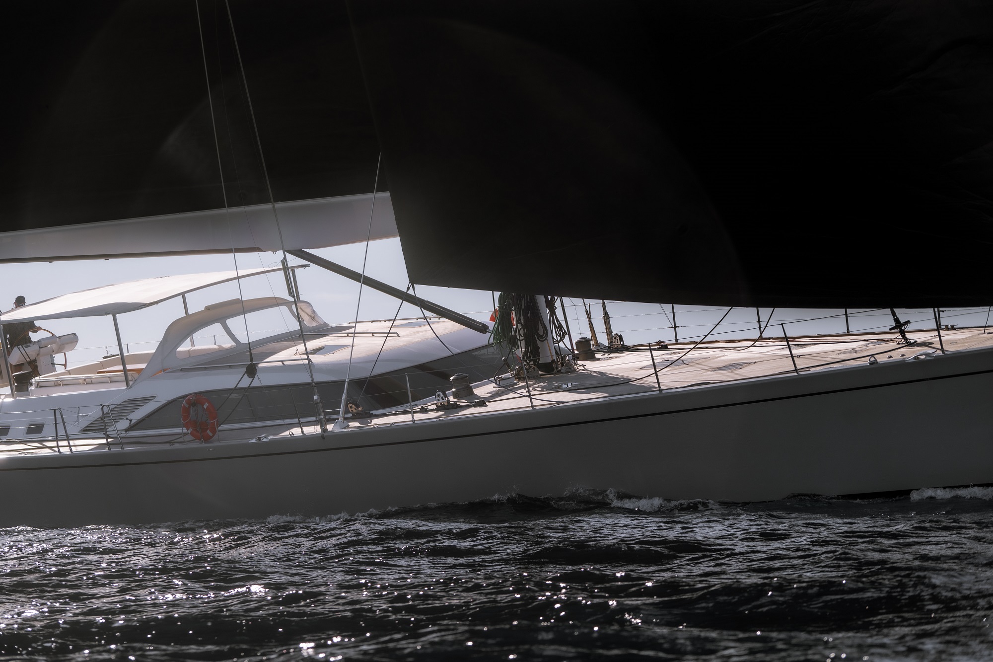 [LHIPPOCAMPE]-14940-1.jpg