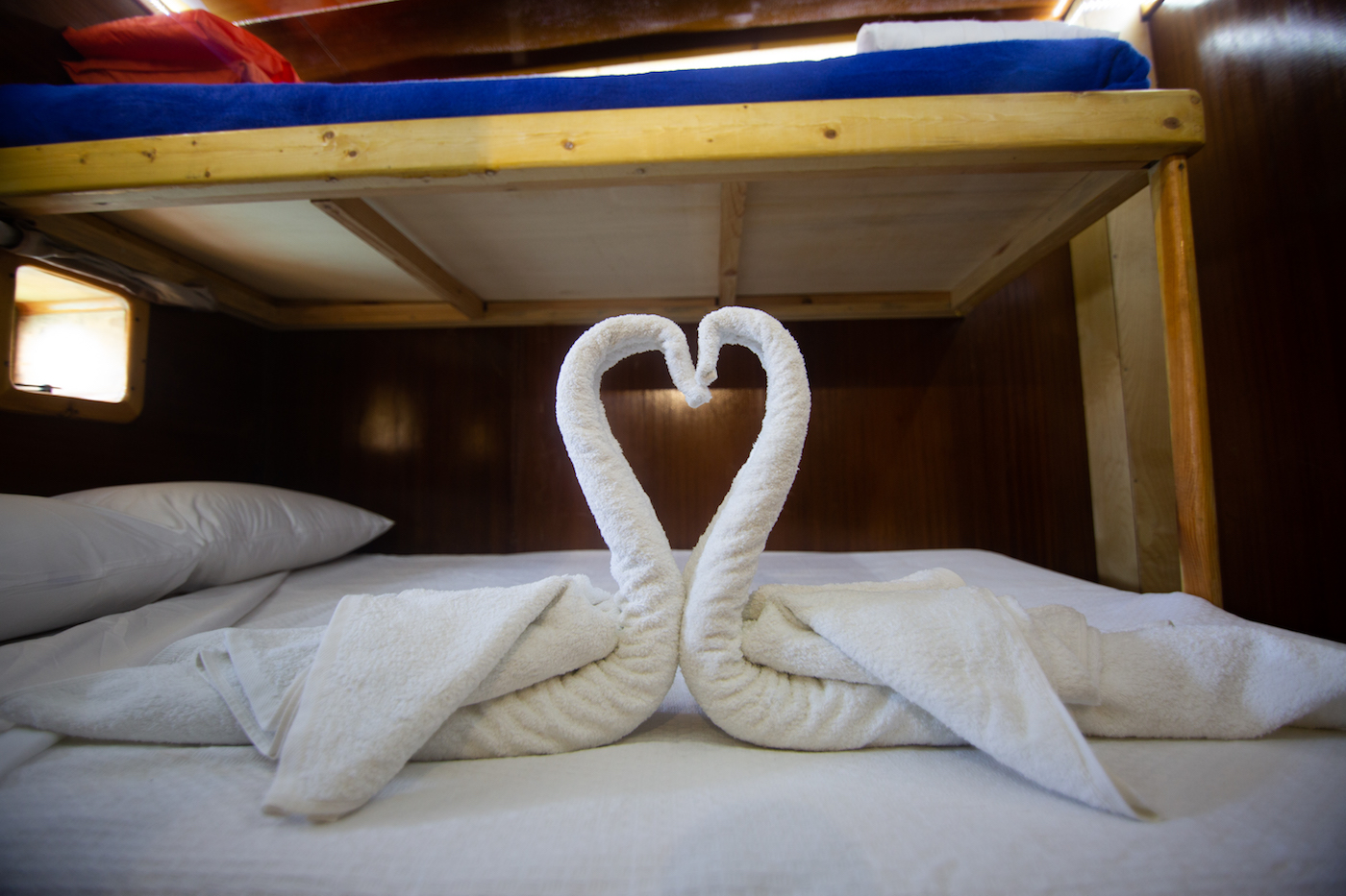 [MOTOR-SAILER-YACHT-APHRODITE]-12934-14.jpg