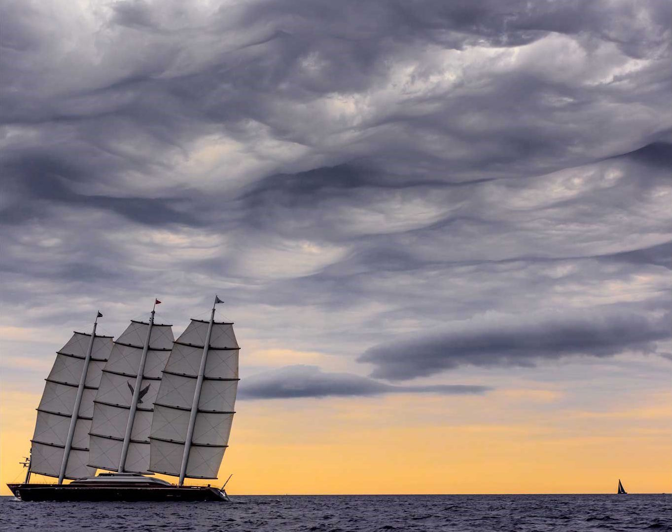 [SAILING-YACHT-MALTESE-FALCON]-1096-62.jpg