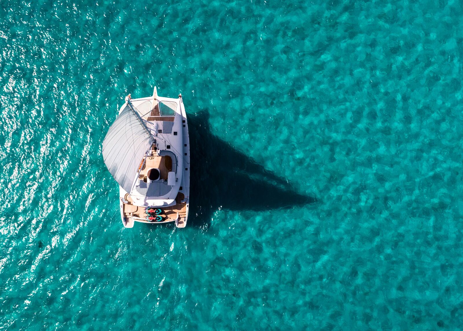 [SY-BLUE-GRYPHON]-11939-1.jpg