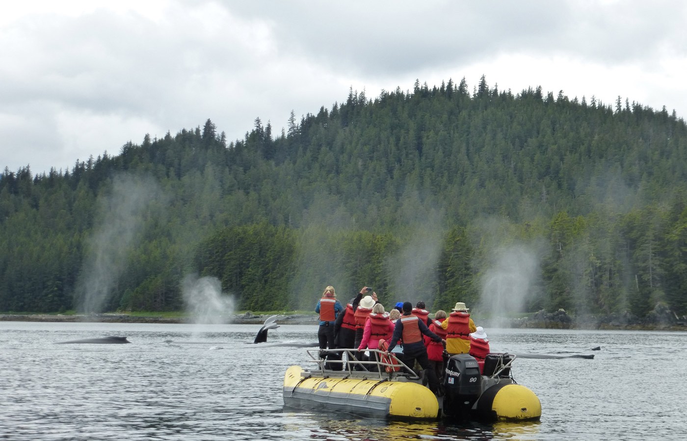 140_skiff_whales_sm-1400x900.jpg