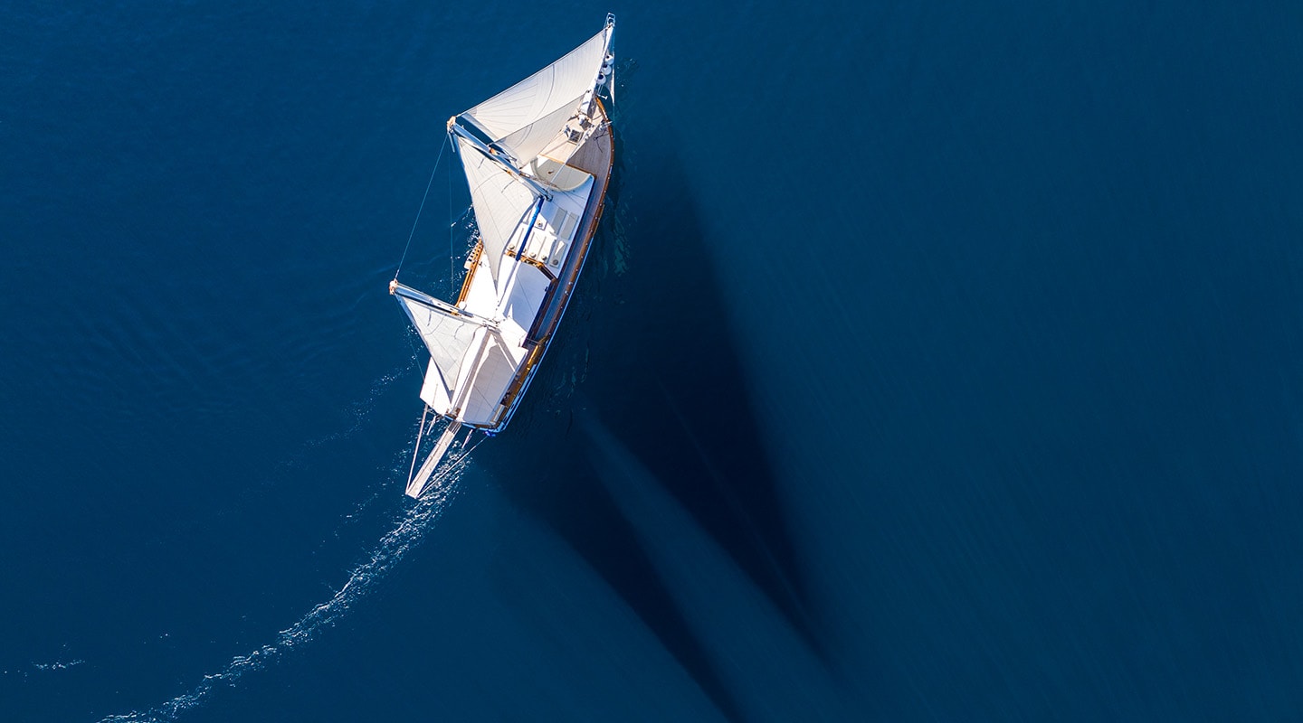 201 ANDI STAR Aerial view.jpg